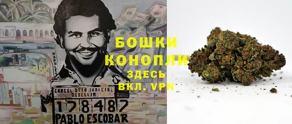 ешки Аркадак