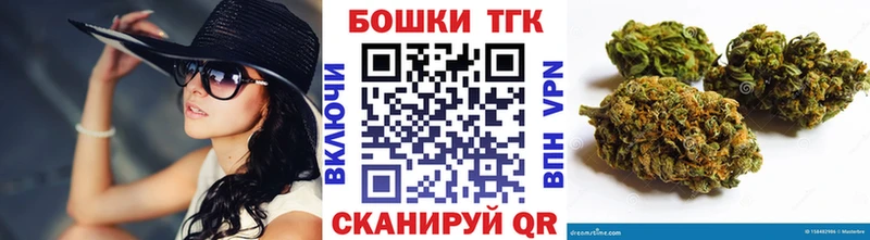 MEGA ссылки  Каргополь  Шишки марихуана White Widow 